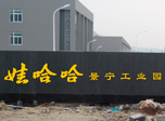 娃哈哈廠(chǎng)牌